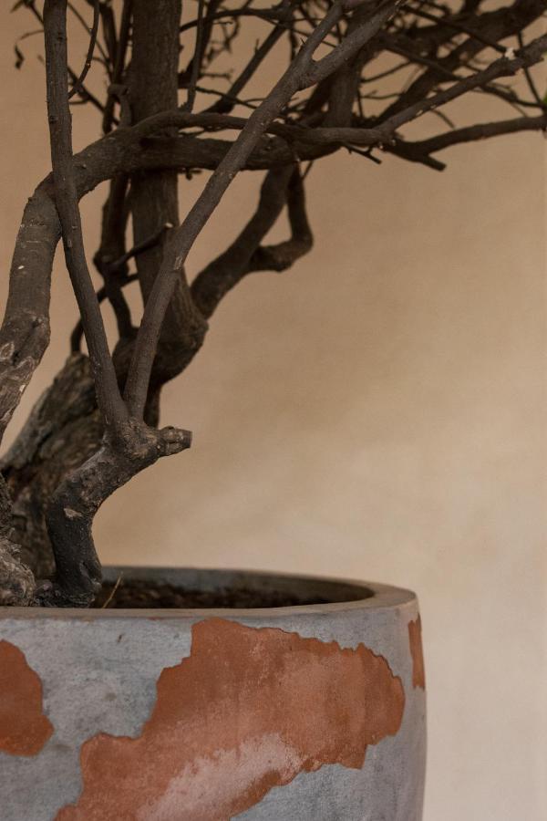 Taller De Juan - Casa Hotel San Cristóbal de Las Casas Eksteriør bilde